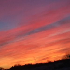 Meet your Posher, Lilly